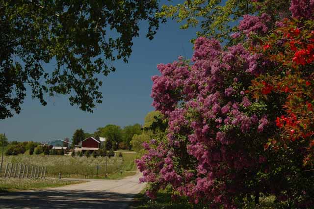 An pleasant back road on the OMP